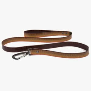 FP. Salty Dog Leash-Brown Trout