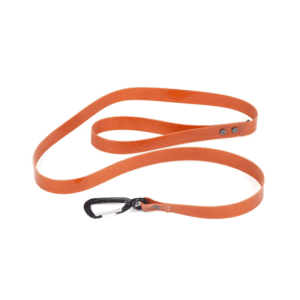 FP. Salty Dog Leash-Orange